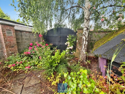 Picture 21